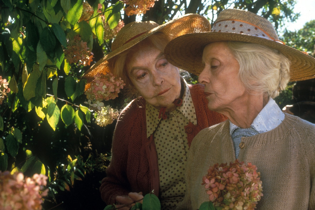 The Whales of August