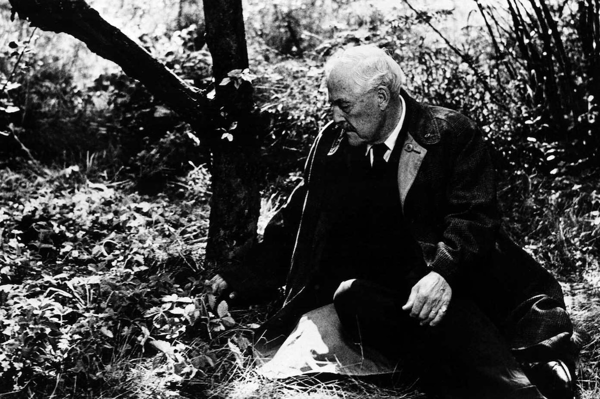 TCM Spotlight: It Was All a Dream?