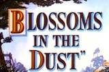 Blossoms In The Dust -- (Original Trailer)