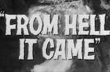 From Hell It Came (1957) -- (Original Trailer)