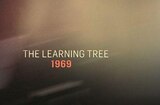 African America Film Critics Association -- The Learning Tree (1969)
