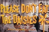 Please Don't Eat The Daisies -- (Original Trailer)
