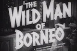 Wild Man of Borneo, The -- (Original Trailer)