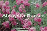 Always For Pleasure (1978) -- Open, Sea Cruise