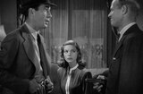 Big Sleep, The (1946) -- Such A Lot Of Guns