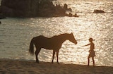 Black Stallion, The (1979) -- Beach