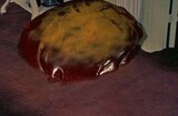Blob, The (1958) -- Before It Gets Any Bigger!