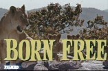 Born Free -- (Original Trailer)