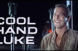 Cool Hand Luke (1967) -- You Better Come Along With Us
