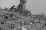 Gojira (1954) -- This Footprint Is Radioactive!