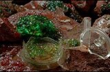 Green Slime, The (1969) -- You Can't Bring It With You!