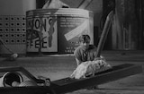 Incredible Shrinking Man, The (1957) -- Mousetrap