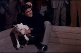 It's A Dog's Life (1955) -- Well Deserving Of Your Support
