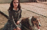 Lassie Come Home (1943) -- Was She Worth Waiting For?