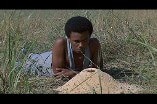 Learning Tree, The (1969) -- I Can't Find Newt