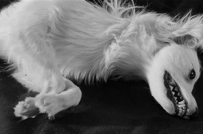 Loved One, The (1965) -- Wagging His Tail In Heaven
