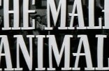 Male Animal, The -- (Original Trailer)