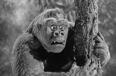 Photo De Presse Cinéma - MIGHTY JOE YOUNG (Gorille) - Tirage K4