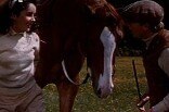 National Velvet (1944) -- Training