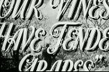 Our Vines Have Tender Grapes -- (Original Trailer)