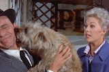 Pal Joey (1957) -- A Dog To Replace Snuffy