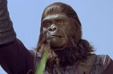 Planet Of The Apes (1968) -- We'll Be Running This Planet