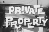 Private Property (1960) -- You Don't Breed A Bird With A Snake