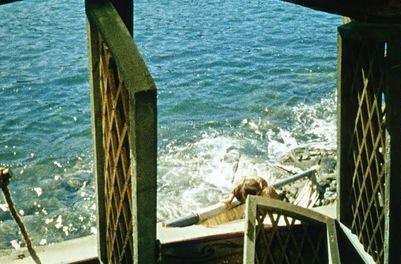 Adventures Of Robinson Crusoe (1954) -- Environed By The Sea