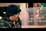 Rocky (1977) -- Cold Night