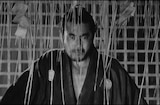 Sanjuro (1962) -- You Wanna Fight?