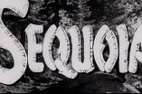 Sequoia -- (Re-issue trailer)