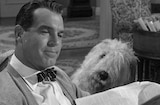 Shaggy Dog, The (1959) -- Shake On it?