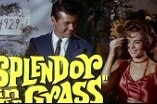 Splendor in the Grass -- (Original Trailer)
