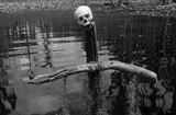 Swamp Water (1941) -- The Okefenokee Swamp