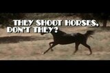 They Shoot Horses, Don't They? -- Opening, Robert