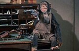 Toby Tyler (1960) -- That Chimp In There's Got My .45!