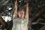 To Paris With Love (1955) -- Who Is That In The Tree?