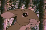 Watership Down (1978) -- The Man Thing Killed It