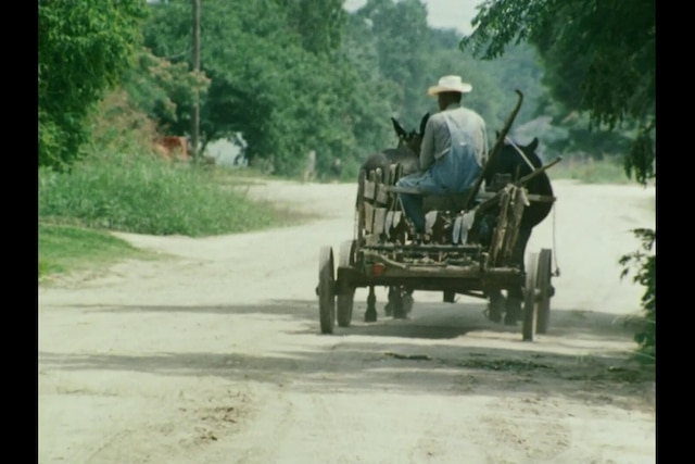Watch A Well Spent Life | TCM