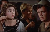 Where The Boys Are (1960) -- Sex To Most People...