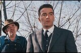 Wild River (1960) -- What's Senile?