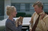 Willard (1971) -- Cats Are Really Very Good Company